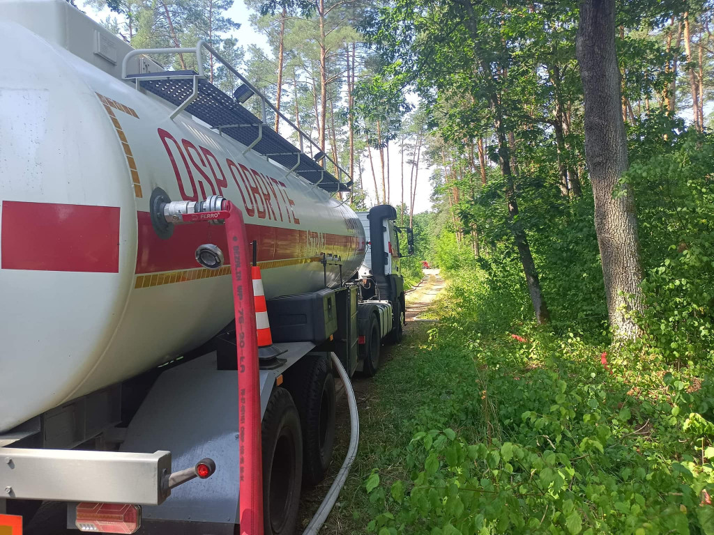 7 wozów strażackich w lesie pod Psarami