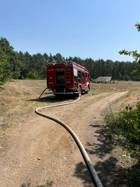 7 wozów strażackich w lesie pod Psarami