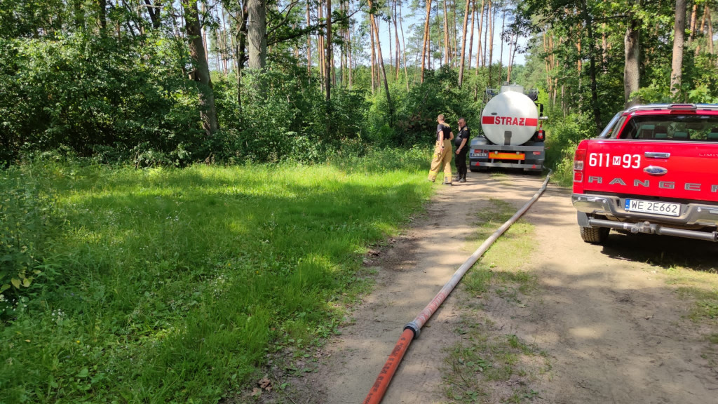 7 wozów strażackich w lesie pod Psarami