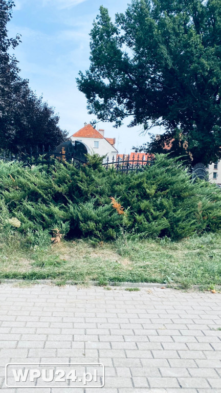 Jeszcze pracują na Placu Piłsudskiego