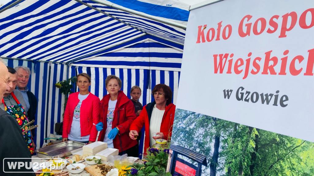 Dzień Ziemniaka w Pokrzywnicy