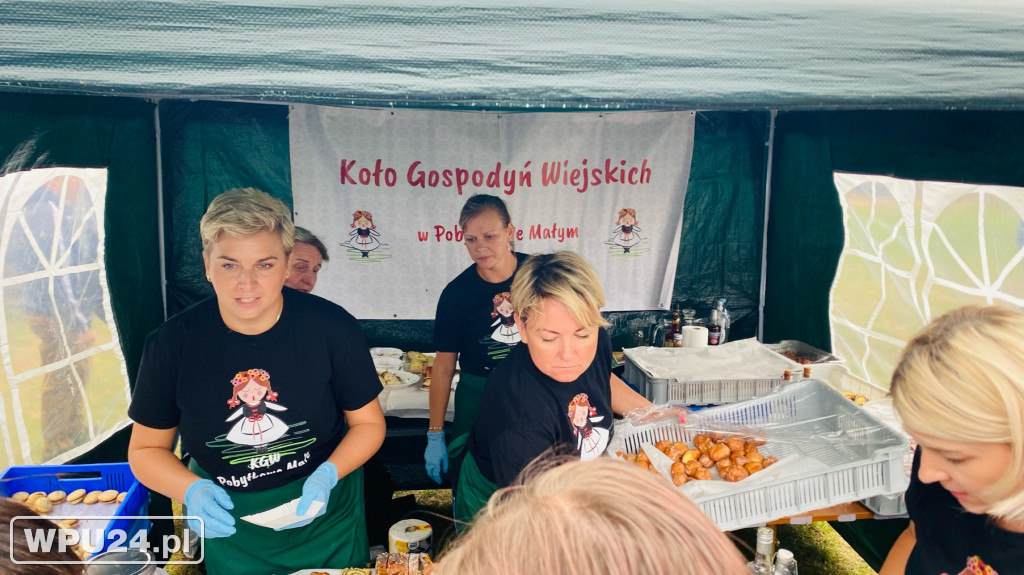 Dzień Ziemniaka w Pokrzywnicy