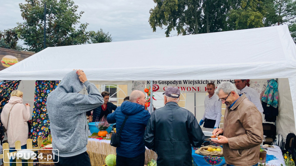 Dzień Ziemniaka w Pokrzywnicy