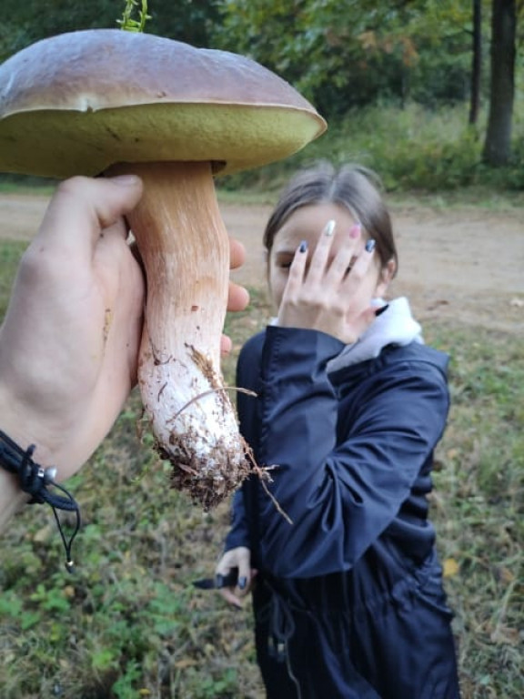 Pułtuskie grzybobrania