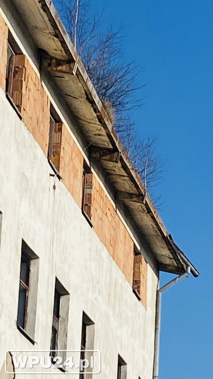 Młyn w Pułtusku - stan z 2022 roku