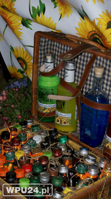Bitwa Regionów w Pułtusku