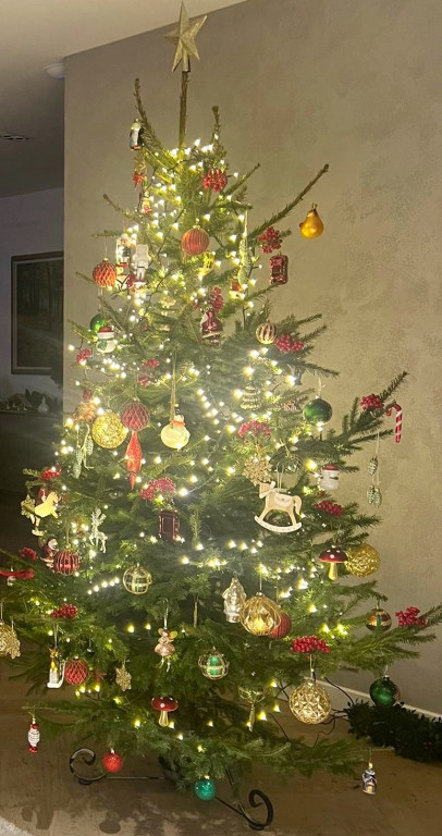 Pułtuskie Drzewka Bożonarodzeniowe 2022