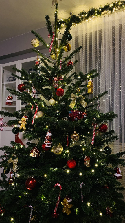Pułtuskie Drzewka Bożonarodzeniowe 2022