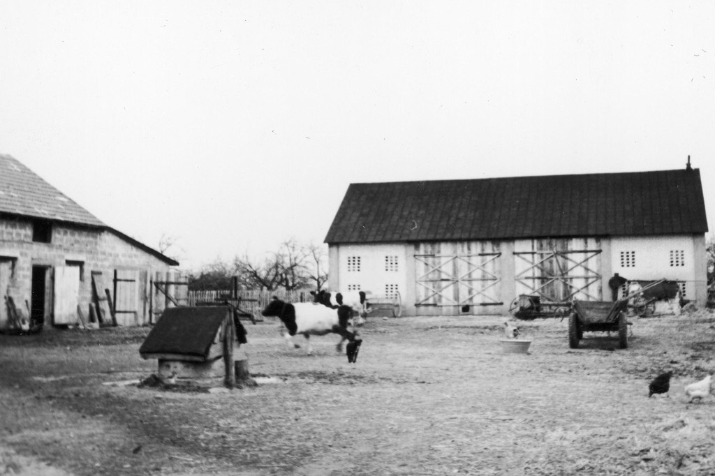 Podpułtuska wieś sprzed pół wieku