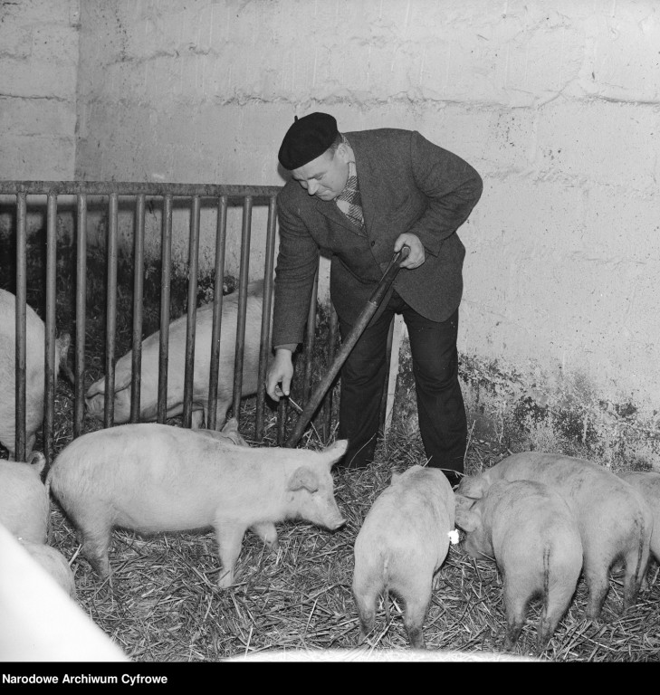 Podpułtuska wieś sprzed pół wieku