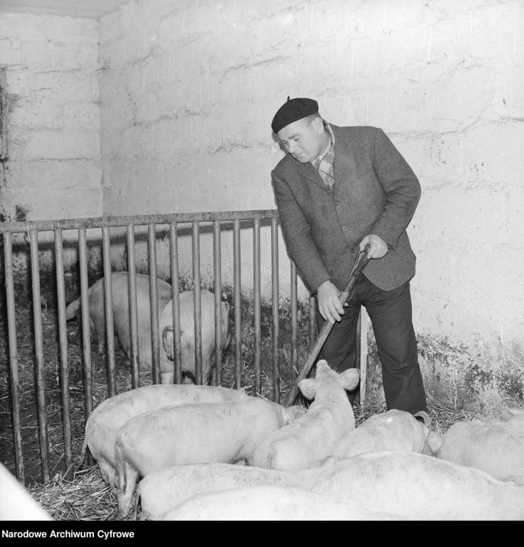 Podpułtuska wieś sprzed pół wieku