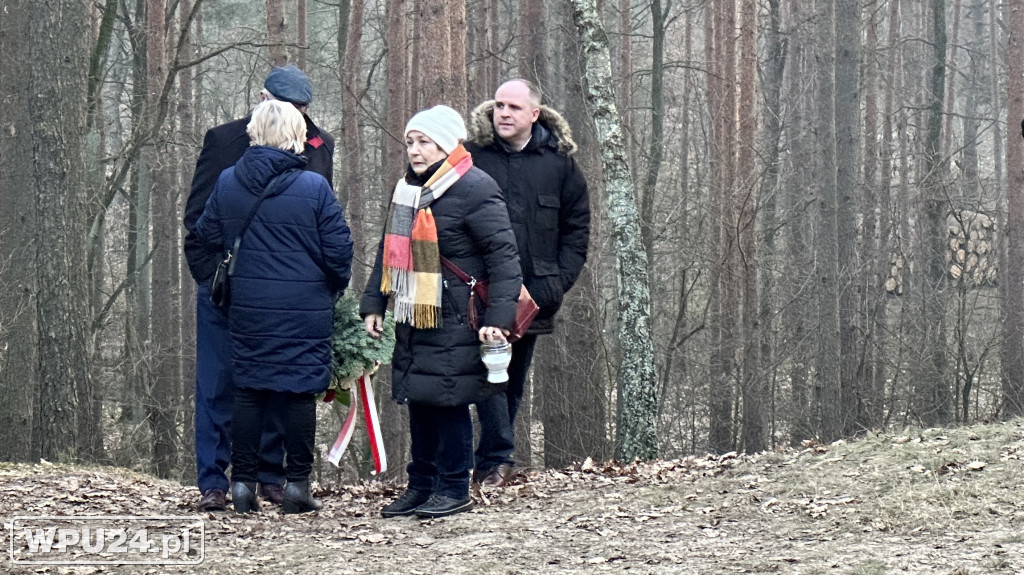 Społeczne obchody na Wzgórzu Napoleonka