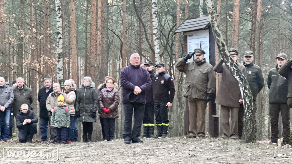 Społeczne obchody na Wzgórzu Napoleonka