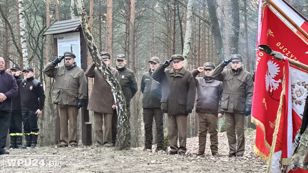 Społeczne obchody na Wzgórzu Napoleonka