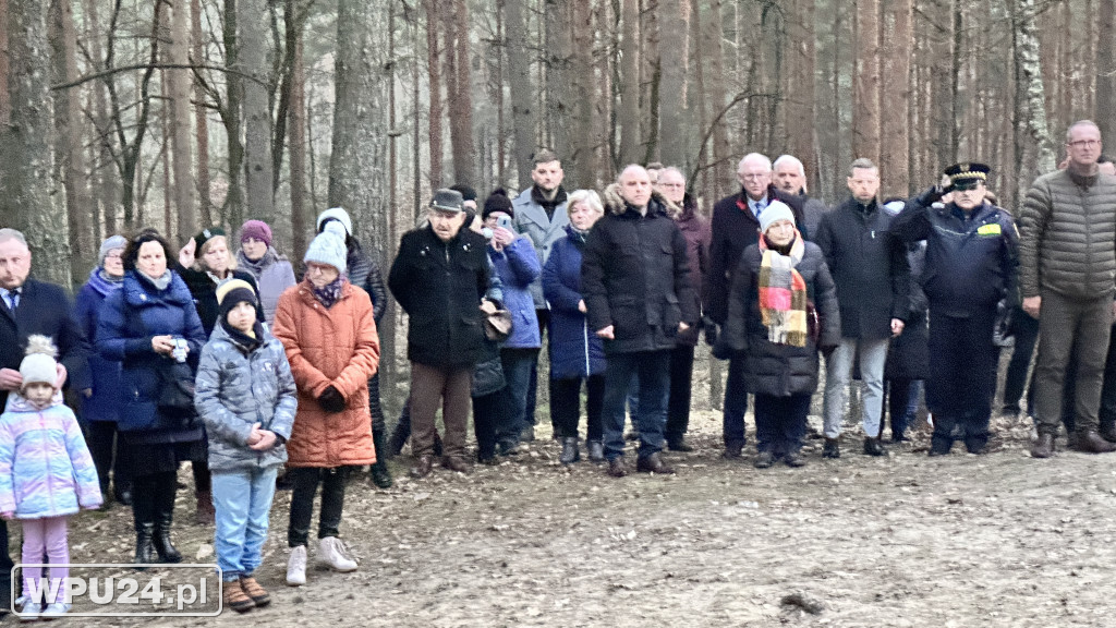 Społeczne obchody na Wzgórzu Napoleonka