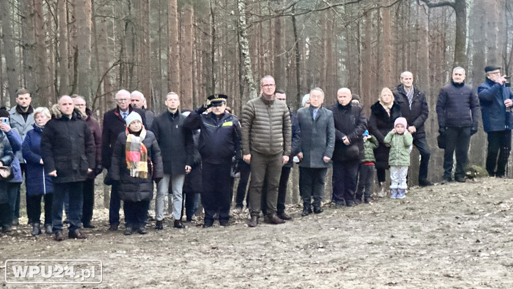 Społeczne obchody na Wzgórzu Napoleonka