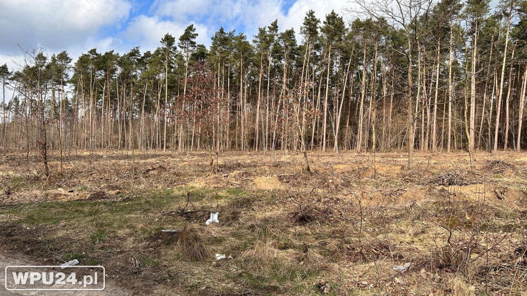 Kontrowersyjna inwestycja w powiecie pułtuskim