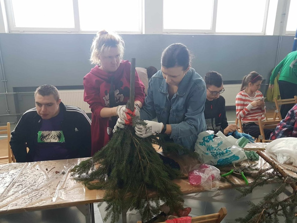 Skrzaty rozgościły się w Pułtusku