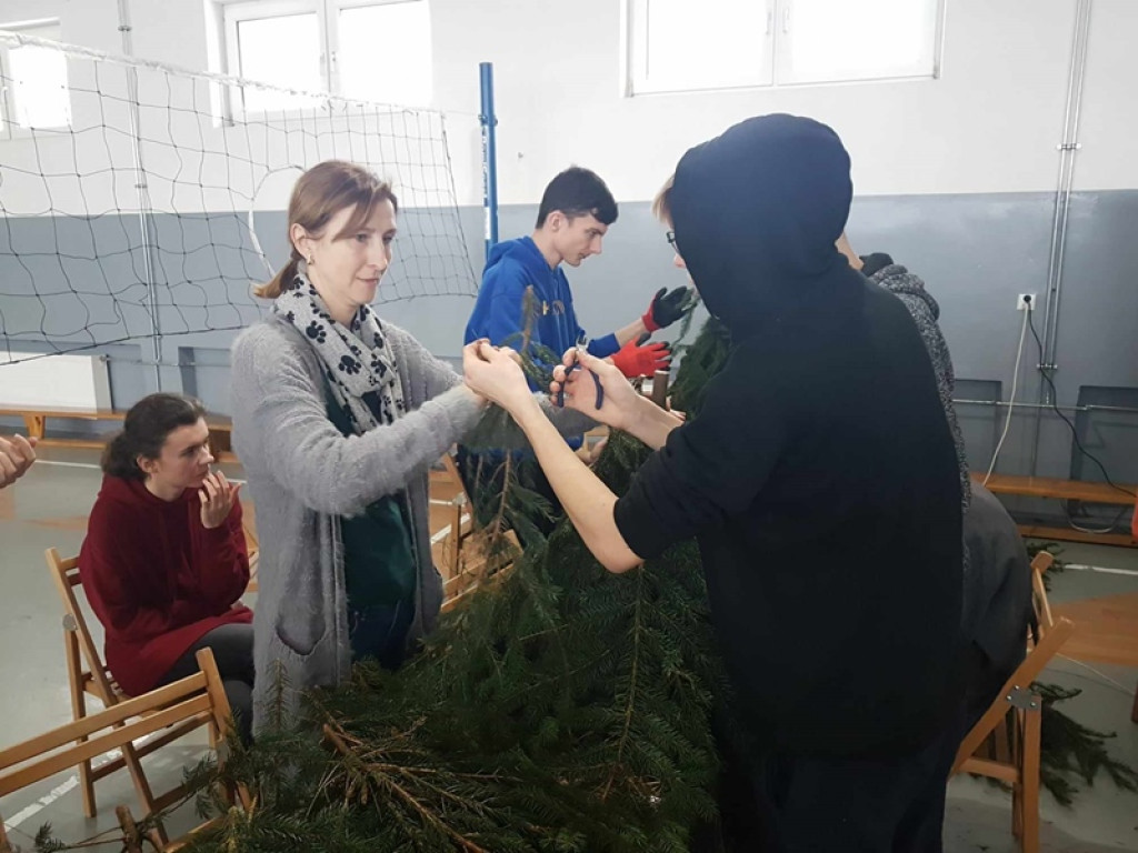 Skrzaty rozgościły się w Pułtusku
