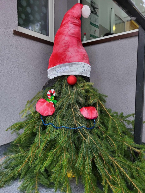 Skrzaty rozgościły się w Pułtusku