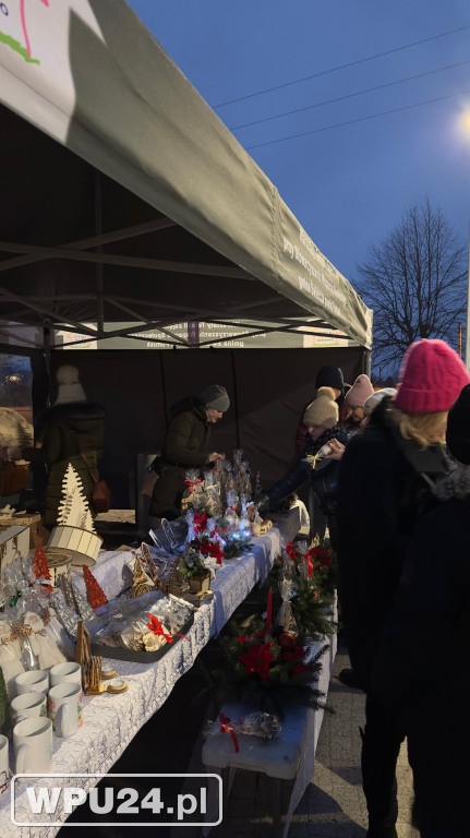 Gminny park świątecznie rozświetlony