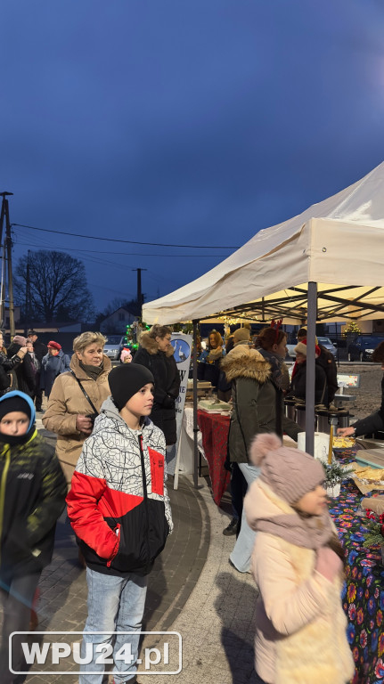 Gminny park świątecznie rozświetlony