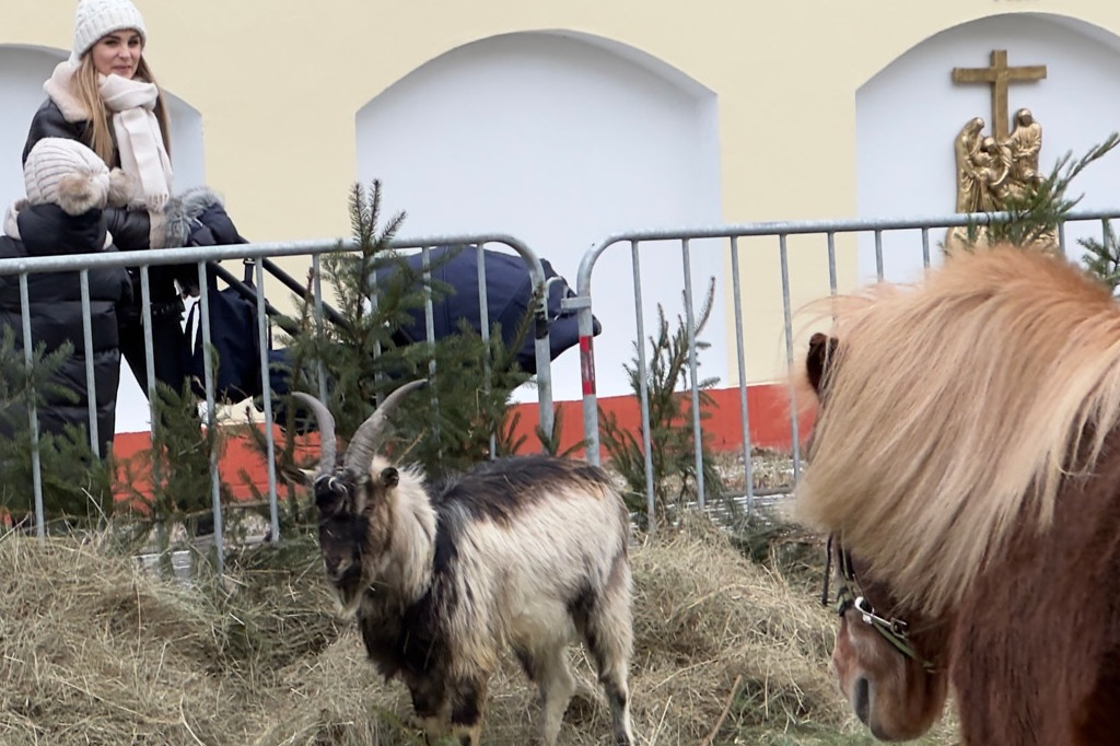 Orszak Trzech Króli w Pułtusku