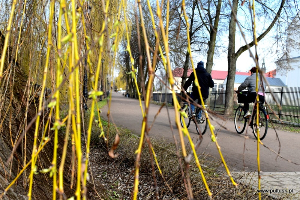 Pierwszy dzień meteorologicznej wiosny