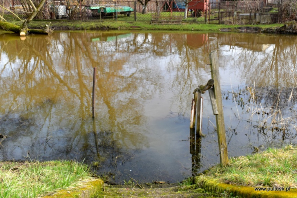 Pierwszy dzień meteorologicznej wiosny