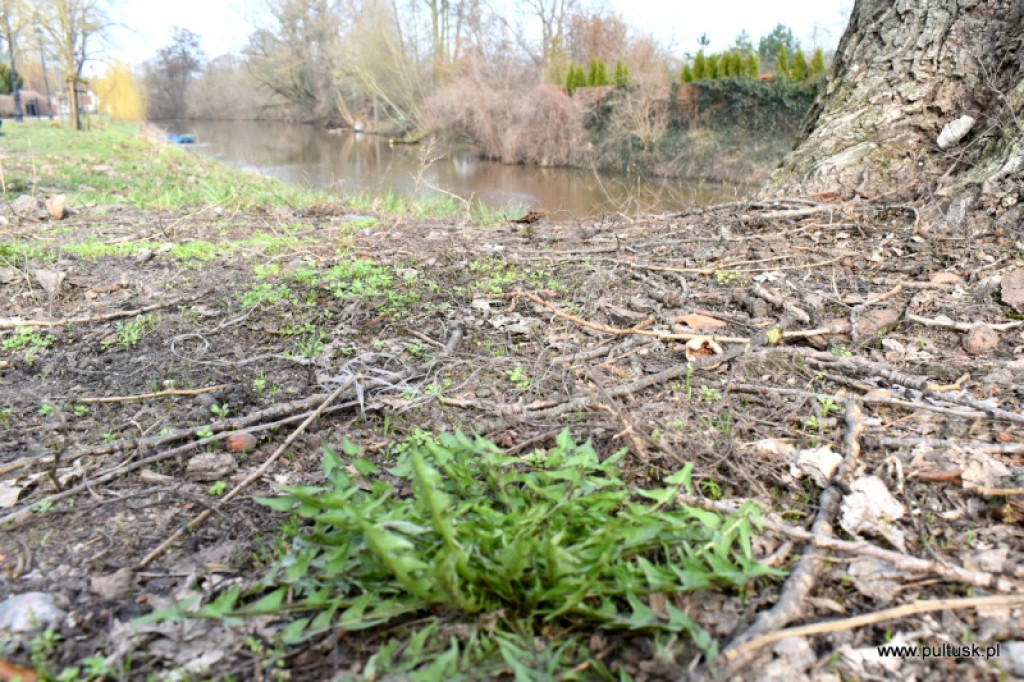 Pierwszy dzień meteorologicznej wiosny