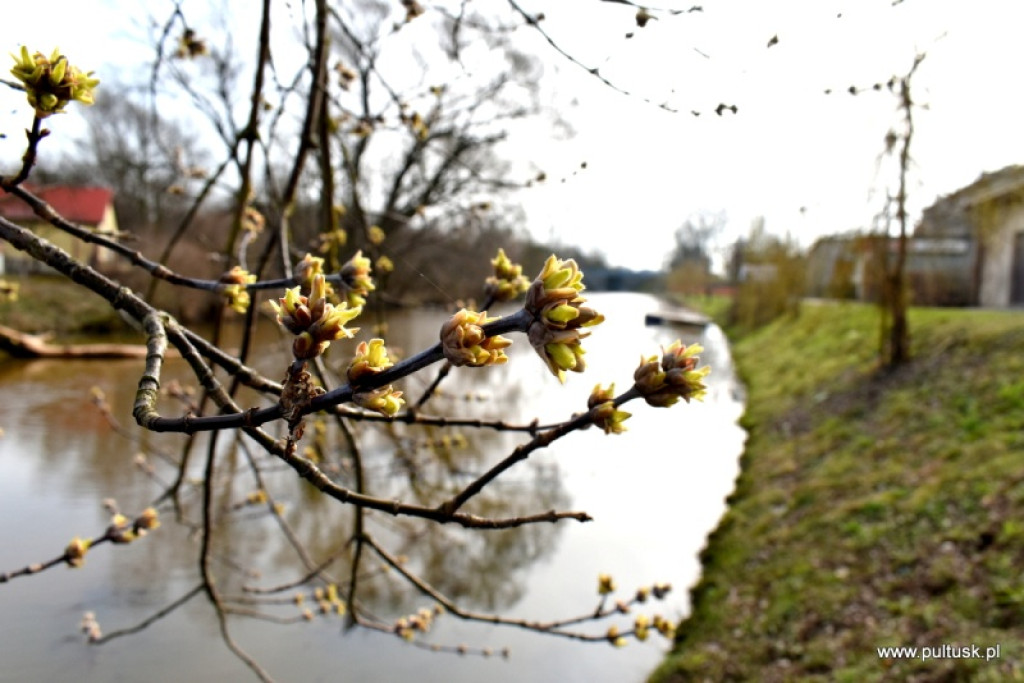 Pierwszy dzień meteorologicznej wiosny