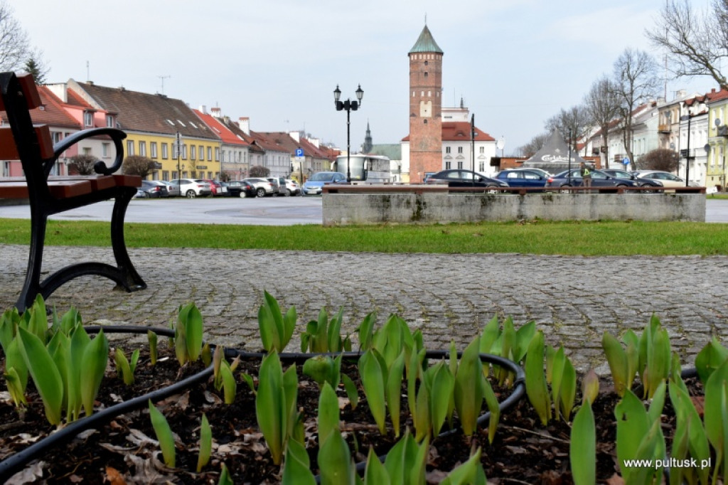 Pierwszy dzień meteorologicznej wiosny