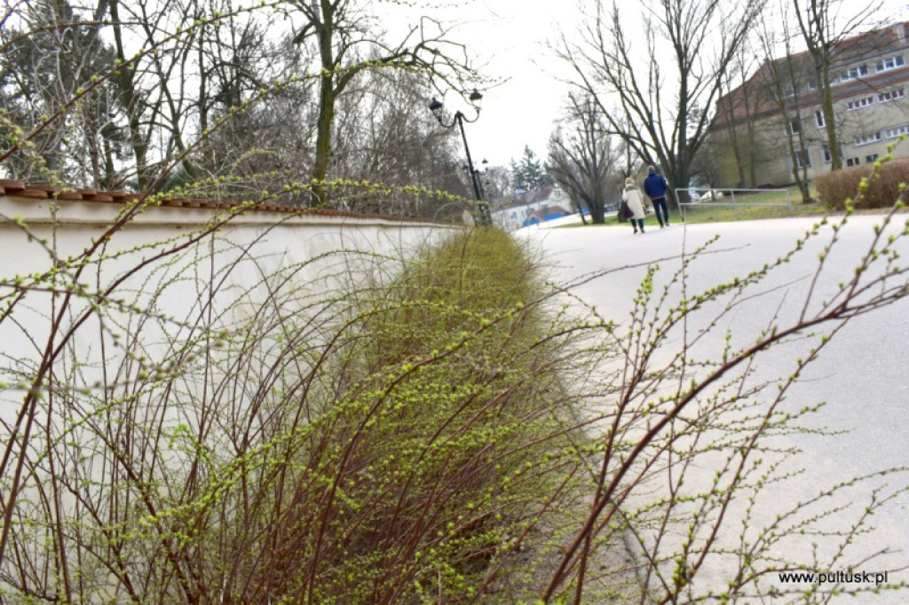 Pierwszy dzień meteorologicznej wiosny