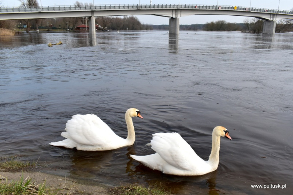 Pierwszy dzień meteorologicznej wiosny