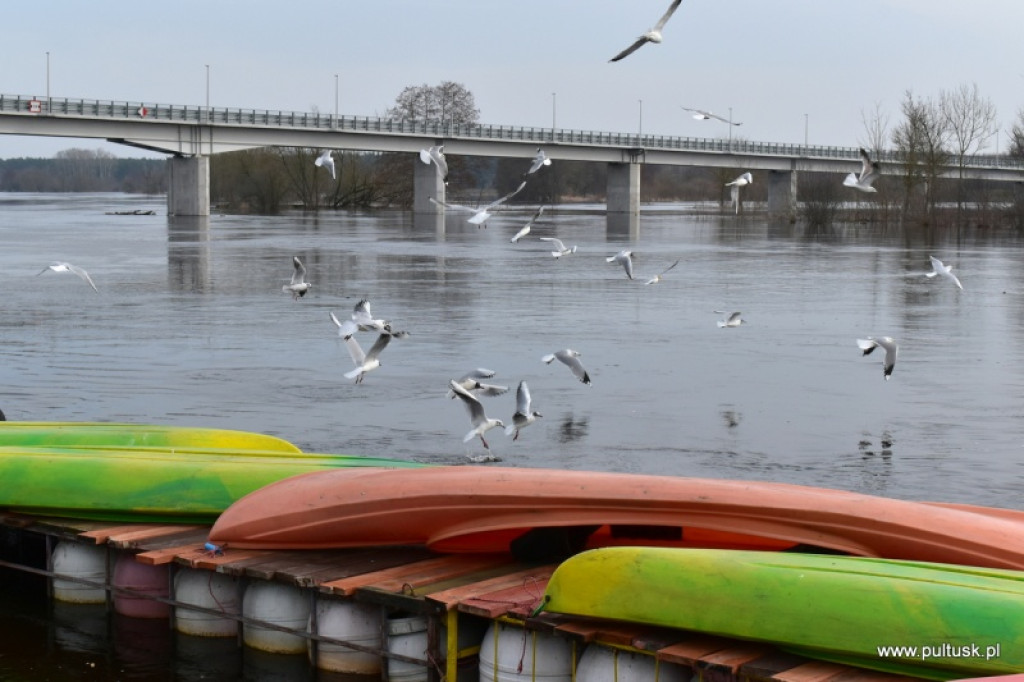 Pierwszy dzień meteorologicznej wiosny