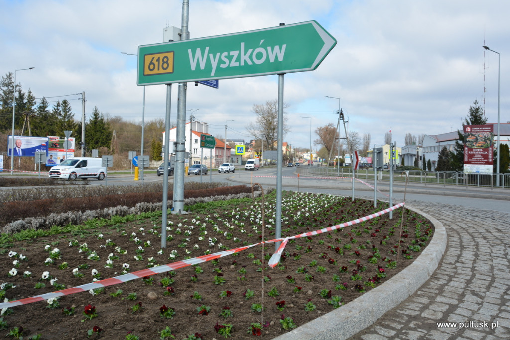 Pułtusk w kwiaty ubierają