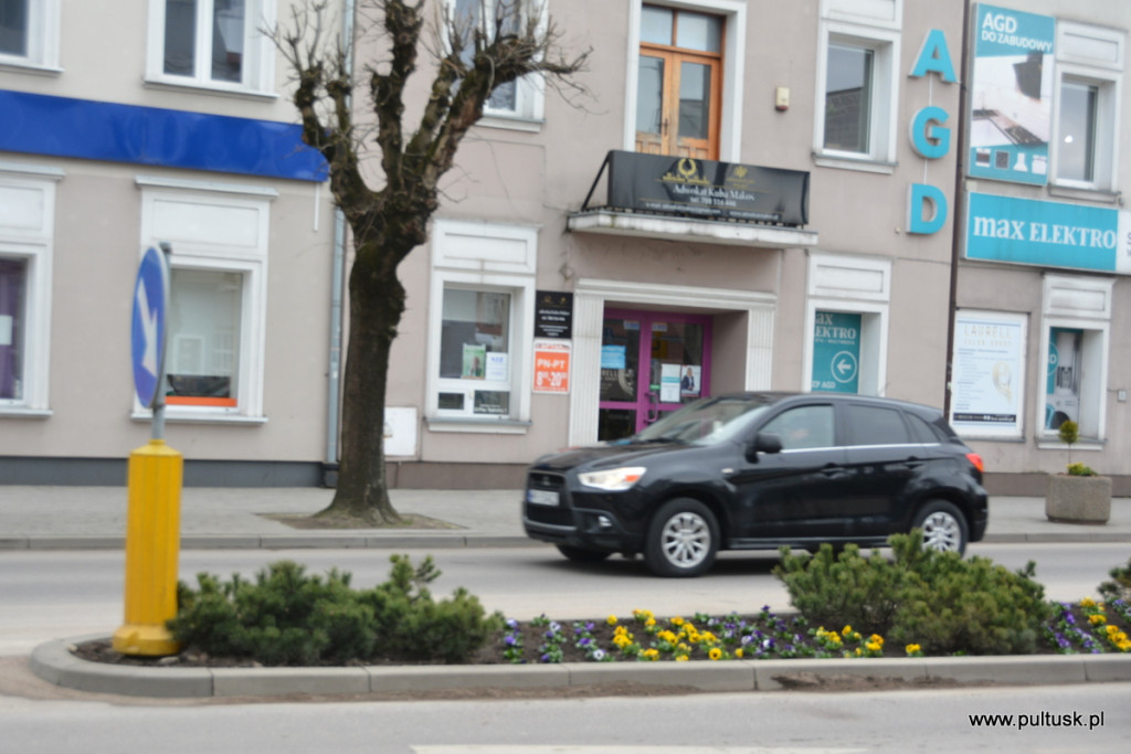 Pułtusk w kwiaty ubierają