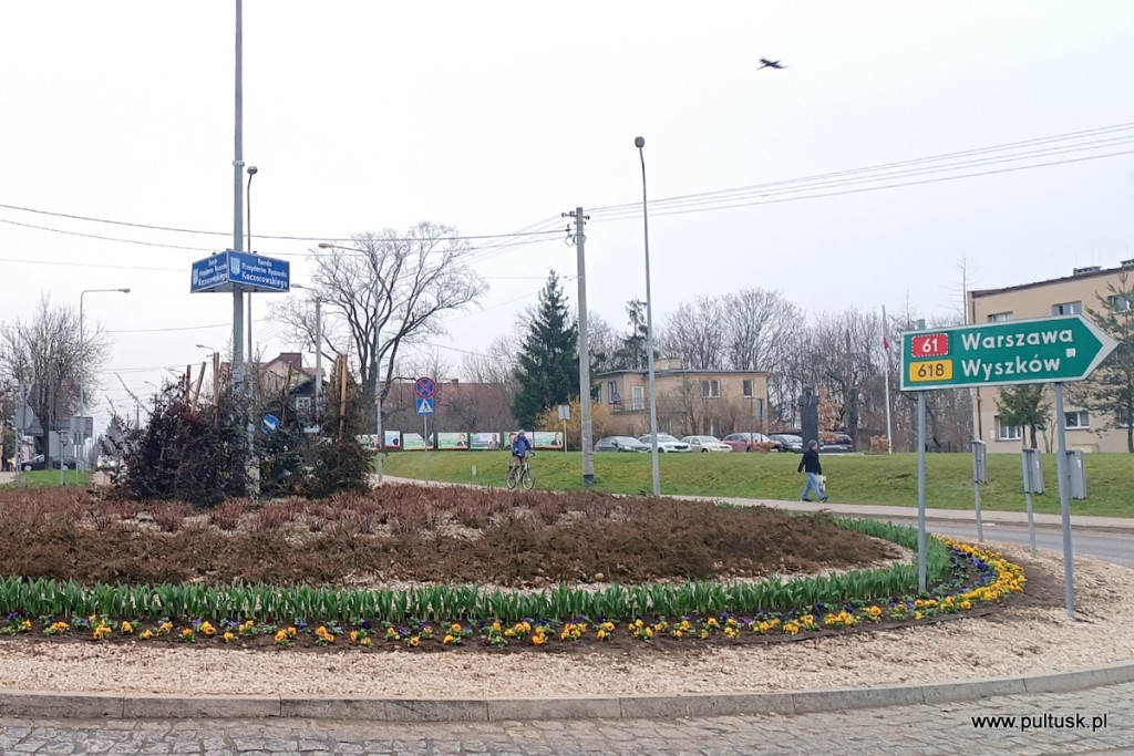 Pułtusk w kwiaty ubierają