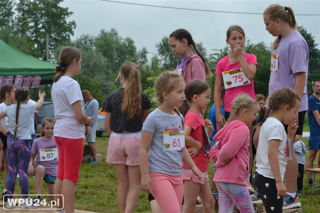 Pogoń za Lisem w Winnicy