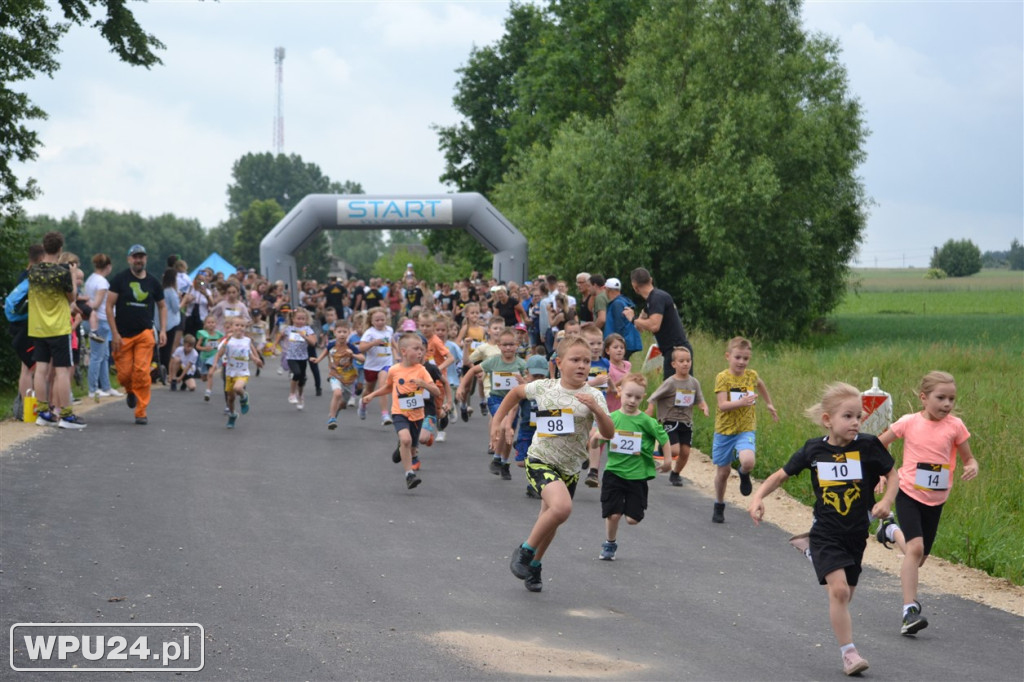 Pogoń za Lisem w Winnicy