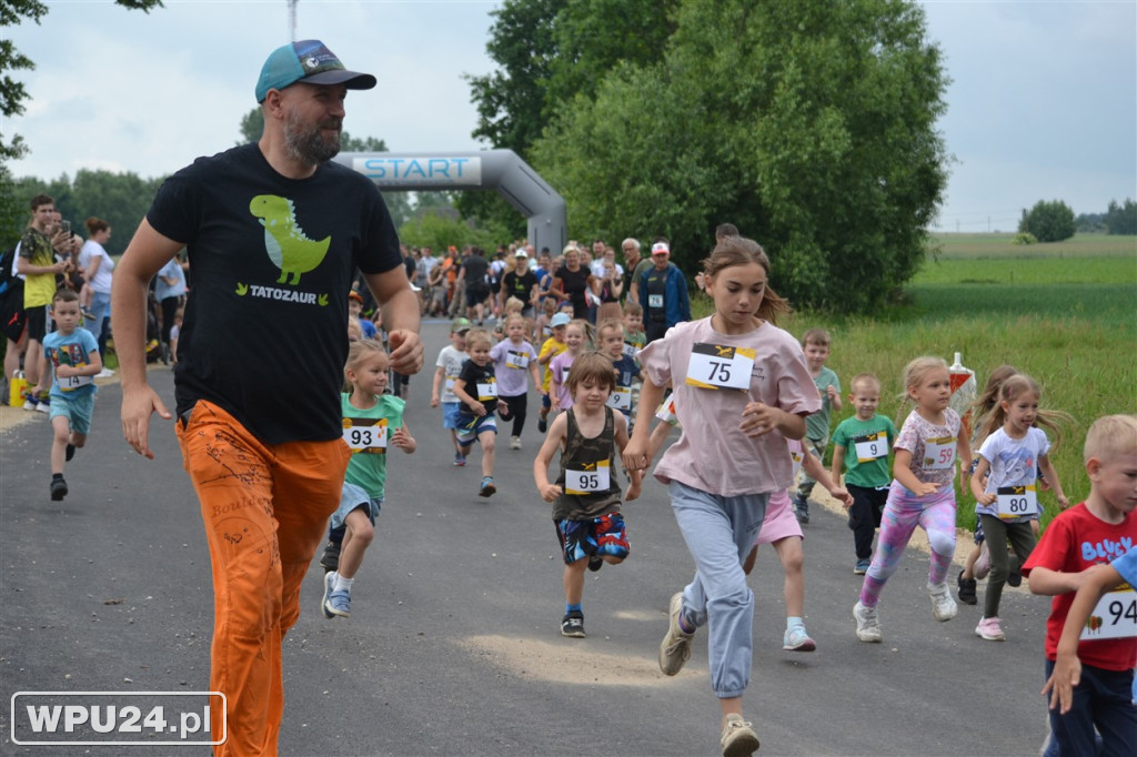 Pogoń za Lisem w Winnicy