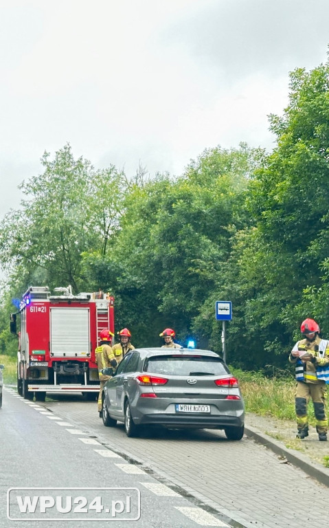 Zdarzenie drogowe w Płocochowie