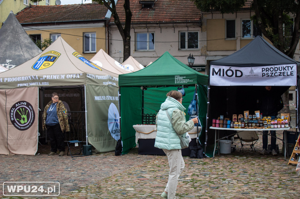 Jarmark Staropolski na pułtuskim Rynku