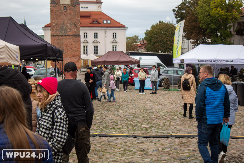 Jarmark Staropolski na pułtuskim Rynku