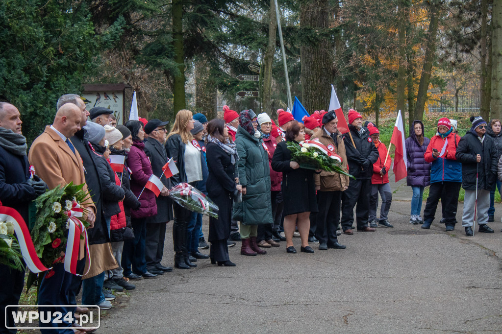 Tak w Pułtusku obchodzimy Dzień Niepoldegłości