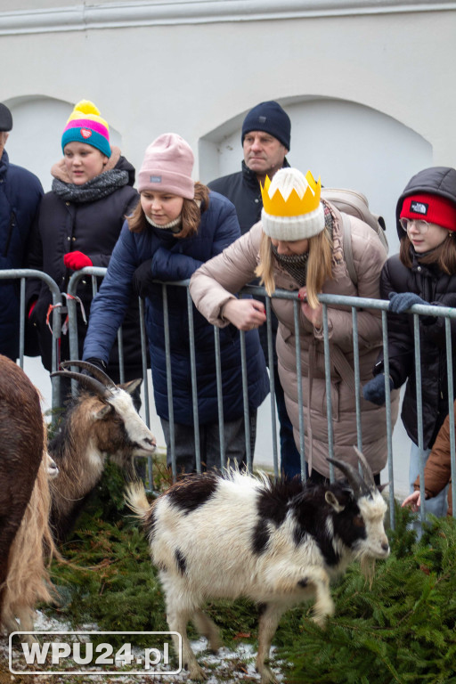 Orszak Trzech Króli; Pułtusk 2025