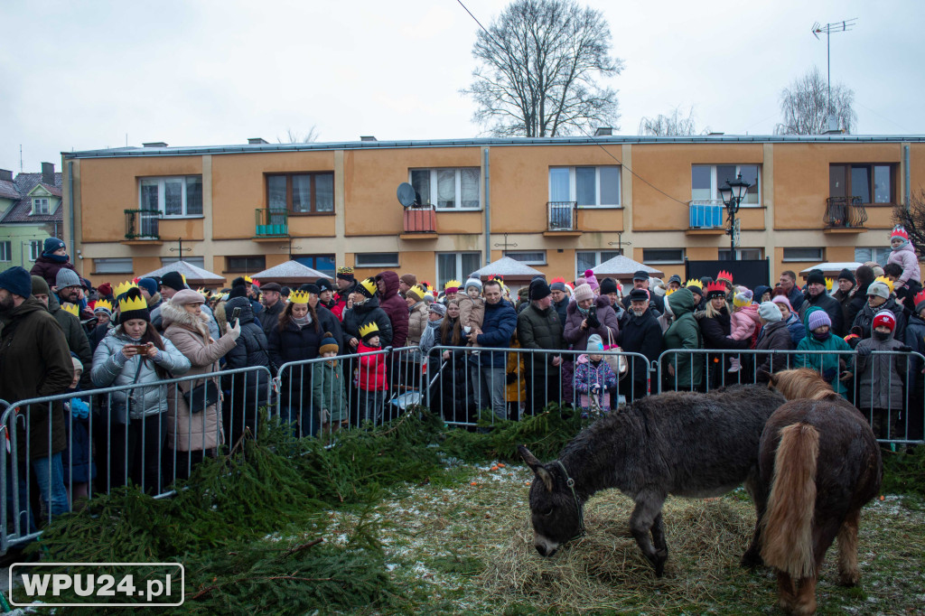 Orszak Trzech Króli; Pułtusk 2025