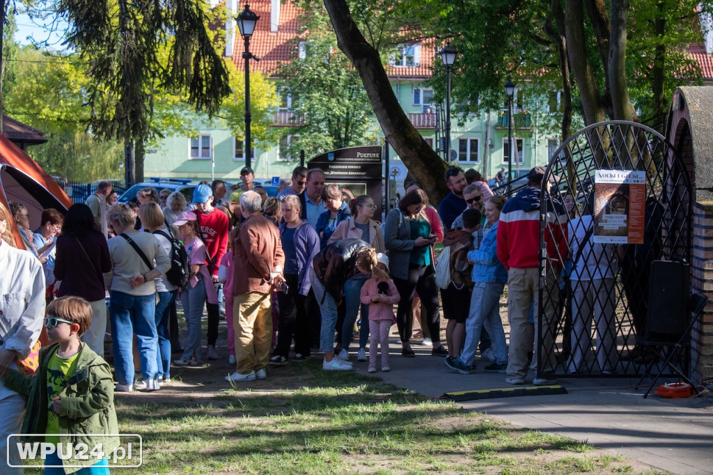 Majówka z nietoperzem? Tak było w Pułtusku!