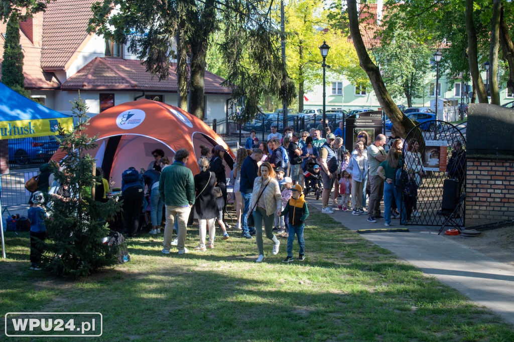 Majówka z nietoperzem? Tak było w Pułtusku!