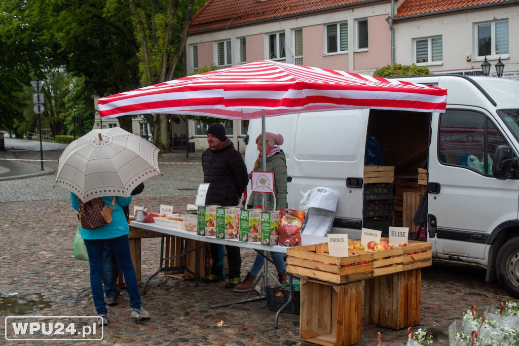 Pogoda zepsuła kwiatowy Festiwal w Pułtusku